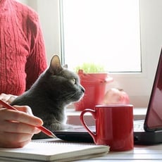 Could Leveraging Remote Work Benefit Your Operations? image