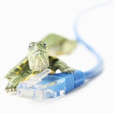 Tip of the Week: Six Reasons Your Network Might Be Slow image