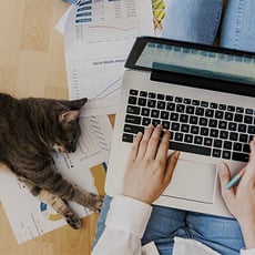 What You Need to Successfully Work from Home image