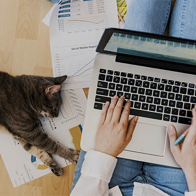 What You Need to Successfully Work from Home image