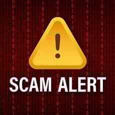 Best Buy’s Geek Squad Scam is Touring Inboxes image