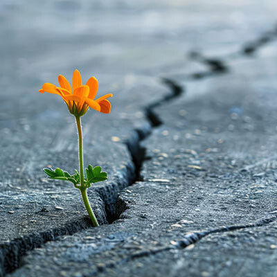 Technology Can Help You Stay Optimistic image