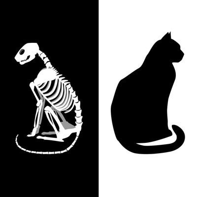 Email Malware is the New Schrӧdinger’s Cat image
