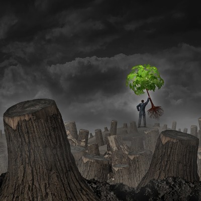 Beyond Data Backup: Why You also Need Disaster Recovery image