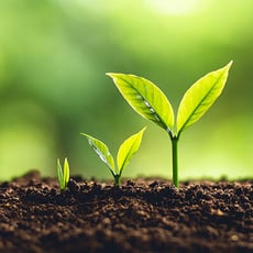 Big Data Can Help Fuel Your Business’ Growth image