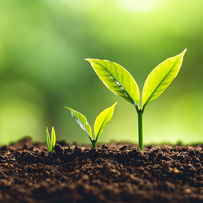 Big Data Can Help Fuel Your Business’ Growth image