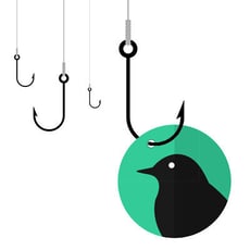 What Happens When a Raven Goes Phishing? image