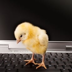 Are You Guilty of These Computer Goofs? image