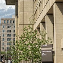 Apple Stands Up to the FBI: Legal Battle Ensues image