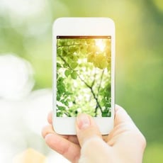 Go Green by Taking Advantage of Remote Technology image