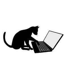 Are You Being Hacked by Your Neighbor’s Cat? image