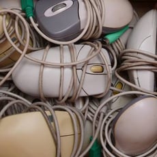 Will the Computer Mouse Go Extinct? image