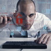 The Word “Hack” and Falcons Have More in Common Than You Would Think image