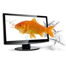 How to Delete the Smelly Superfish App From Your Computer image
